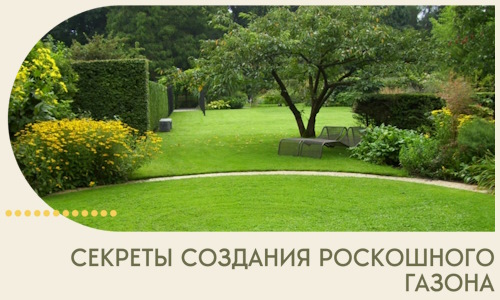 Секреты создания роскошного газона в Учалах
