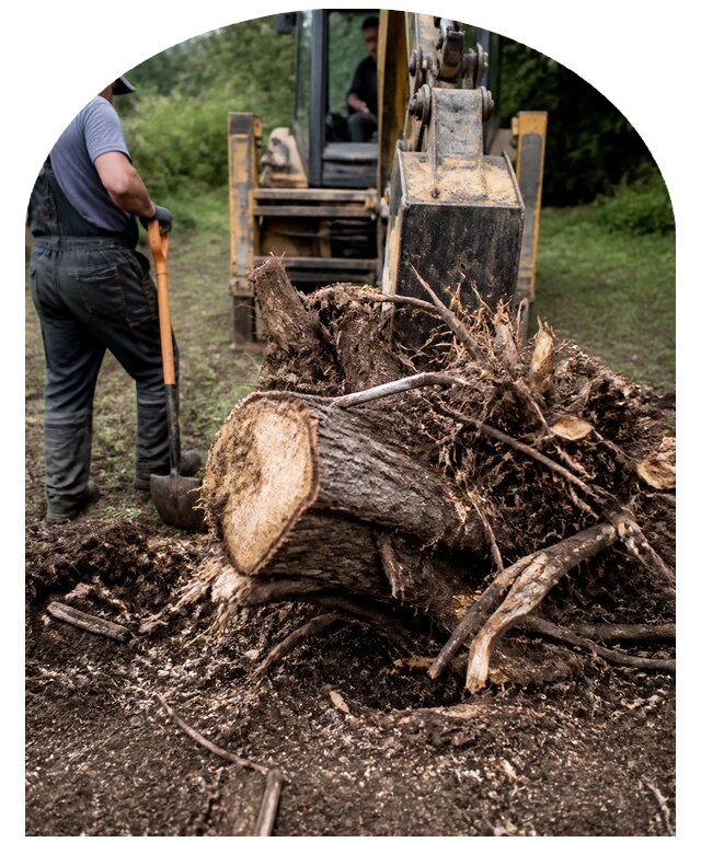 Корчевание пней в Учалах по цене от 5999 р. | Метпроект-Члы